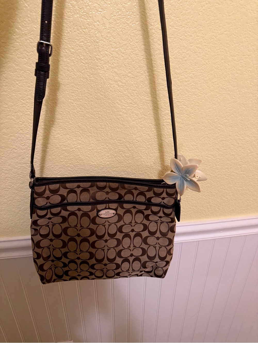 Coach Signature Brown Crossbody Bag